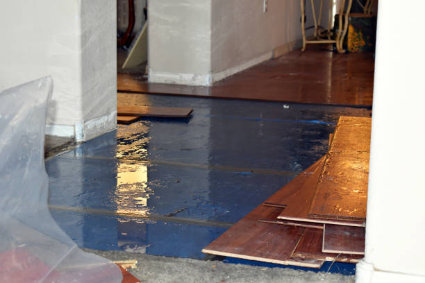 Professional Basement Flood Cleanup technician working in East Andover, ME